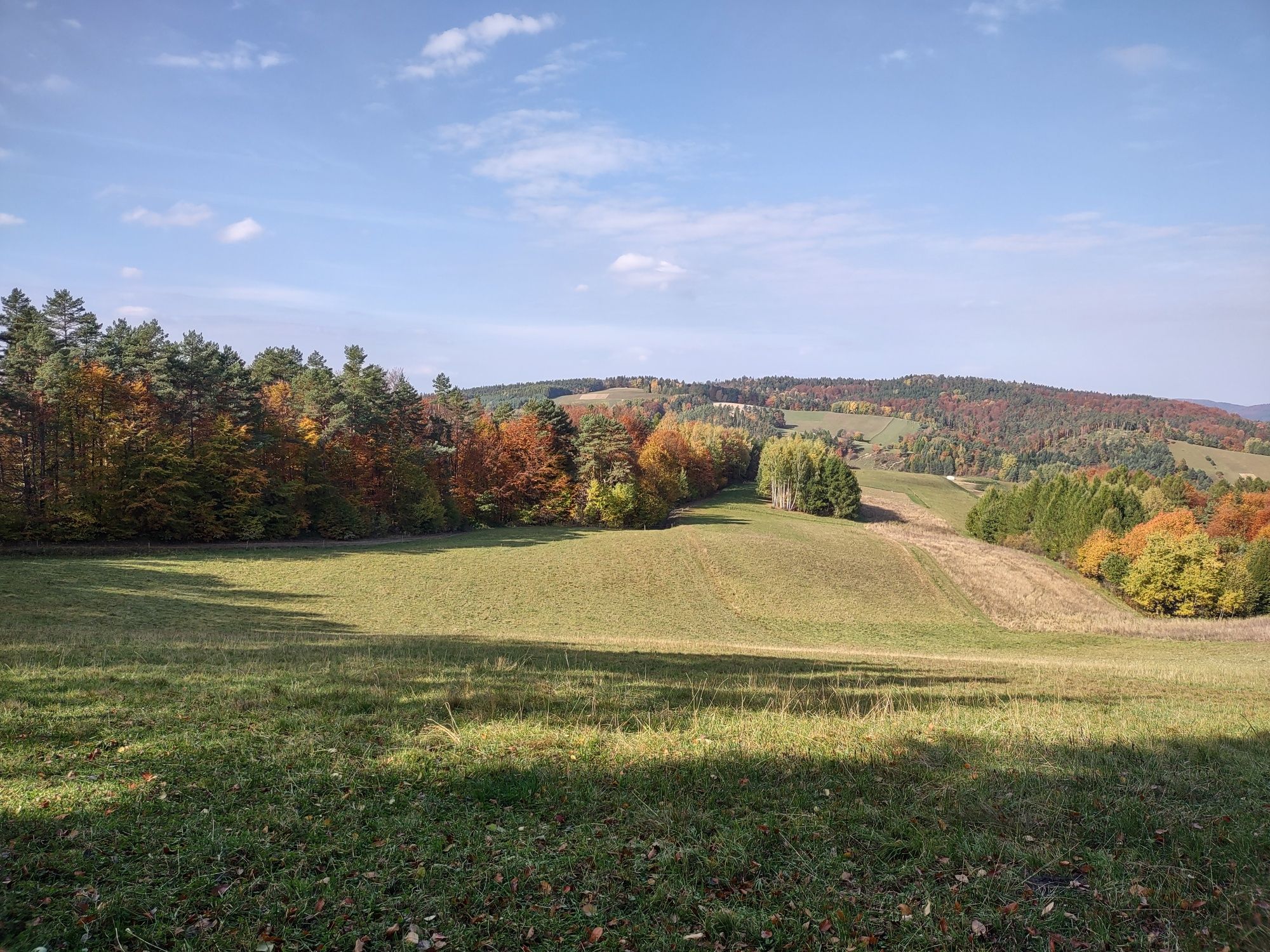 Działka Bieszczady