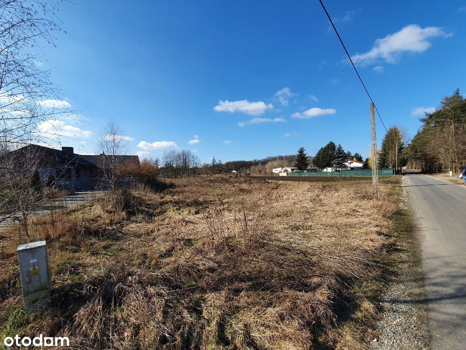 Ul. Leśna  - działka nr 215  - WZ