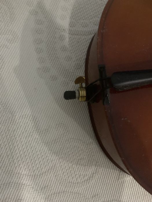 violoncelo estudante