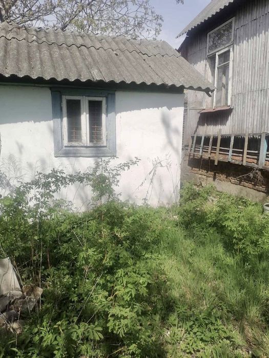 Продається дача в Новій Українці