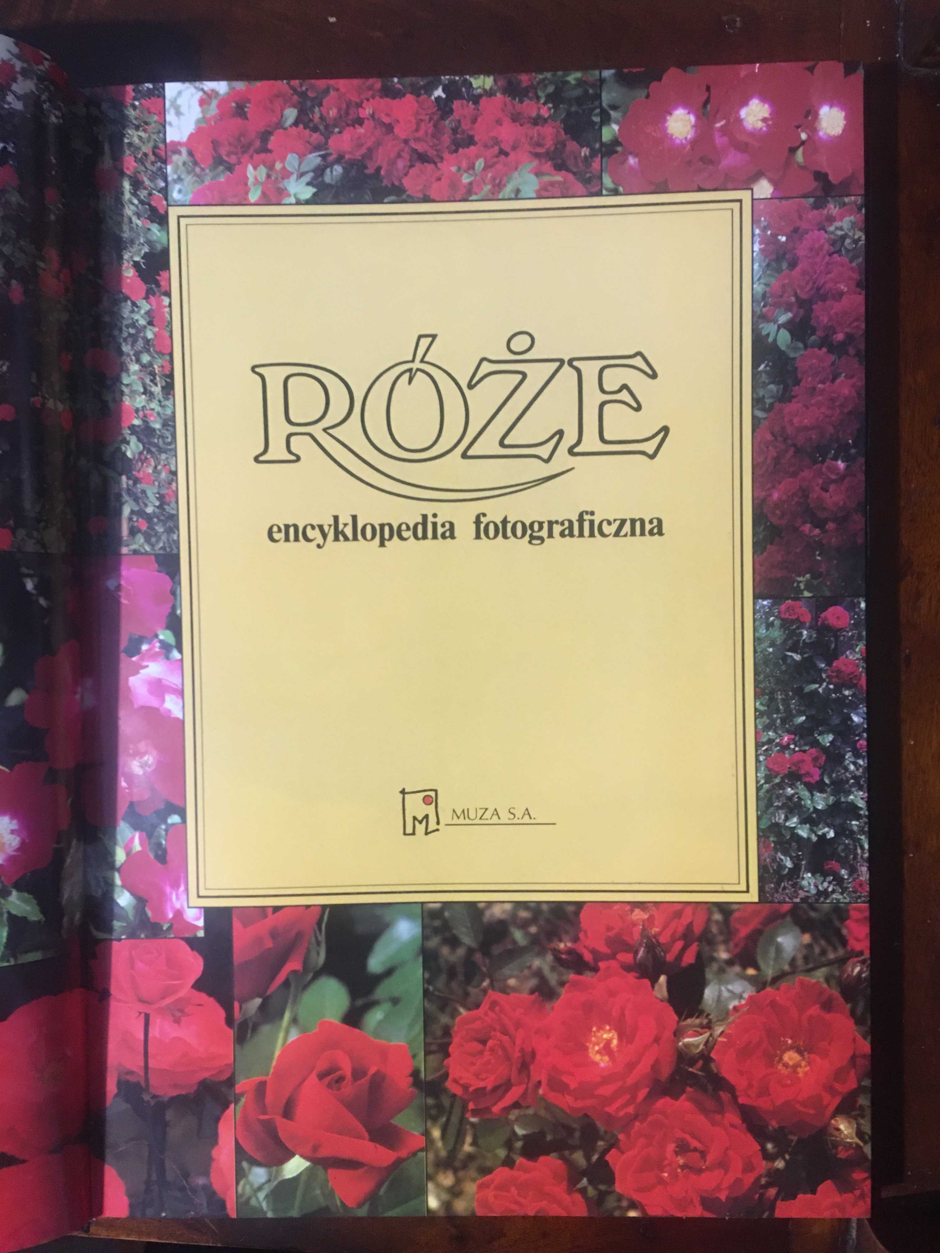 Róże Encyklopedia fotograficzna Róże