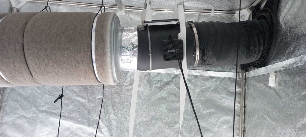 Kit grow 150x150x220