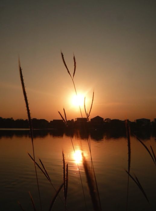 Panasonic LUMIX DMC-SZ1 Цифровий Вінтажний Фотоапарат Мильниця