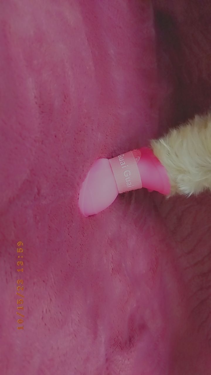 Чоботи резинові рожеві