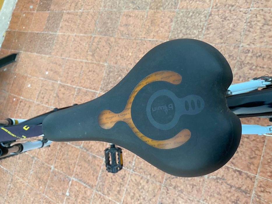 Bicicleta mulher