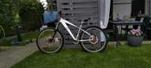 Rower Ballistic Dh , FR , Stunt , Mtb