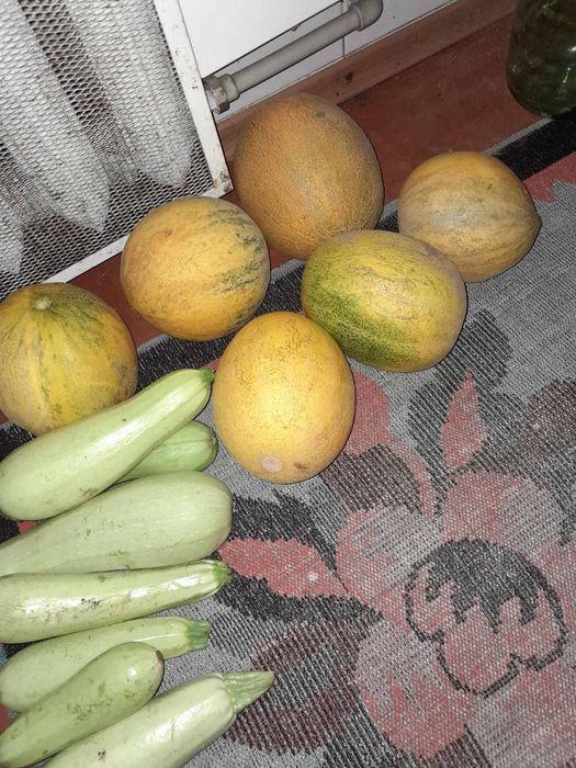 Насіння семена укроп арбуз перец дыни тыква помидоры