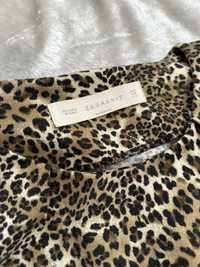 Zara плаття леопардове