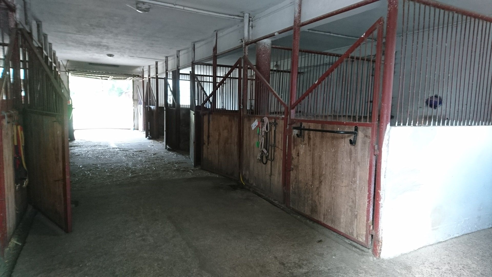 Pensjonat dla koni boksy lub wolny wybieg,  hala 45x22