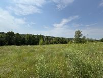 Лісники панорамна ділянка 23 сотки