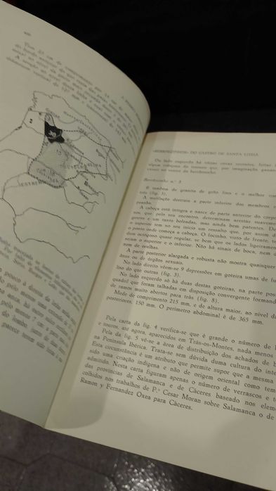 A Pedro Bosch-Cimpera en el 70º aniversario(Freixo de Espada-à-Cintra)
