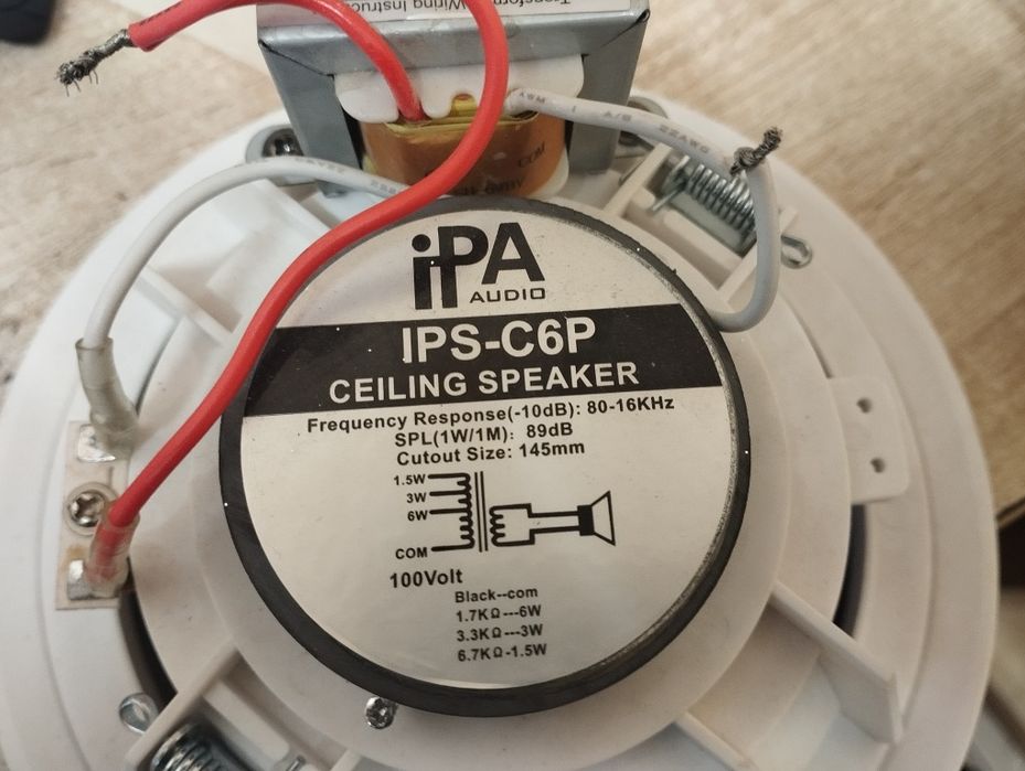 Потолочный динамик.