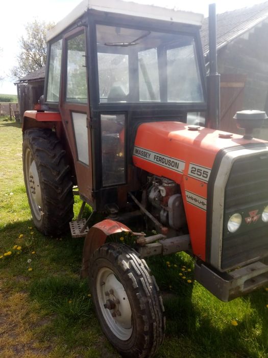 URSUS MF 255 rocznik 1988
