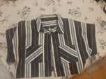 Camisa/jaqueta   swallow