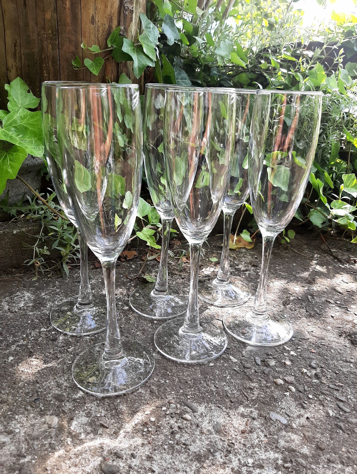 Komplet Kieliszków do Szampana do Domu Baru Wina Alkoholu Kieliszki