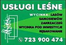 Ścinka drzew Mulczowanie Czyszczenie działek