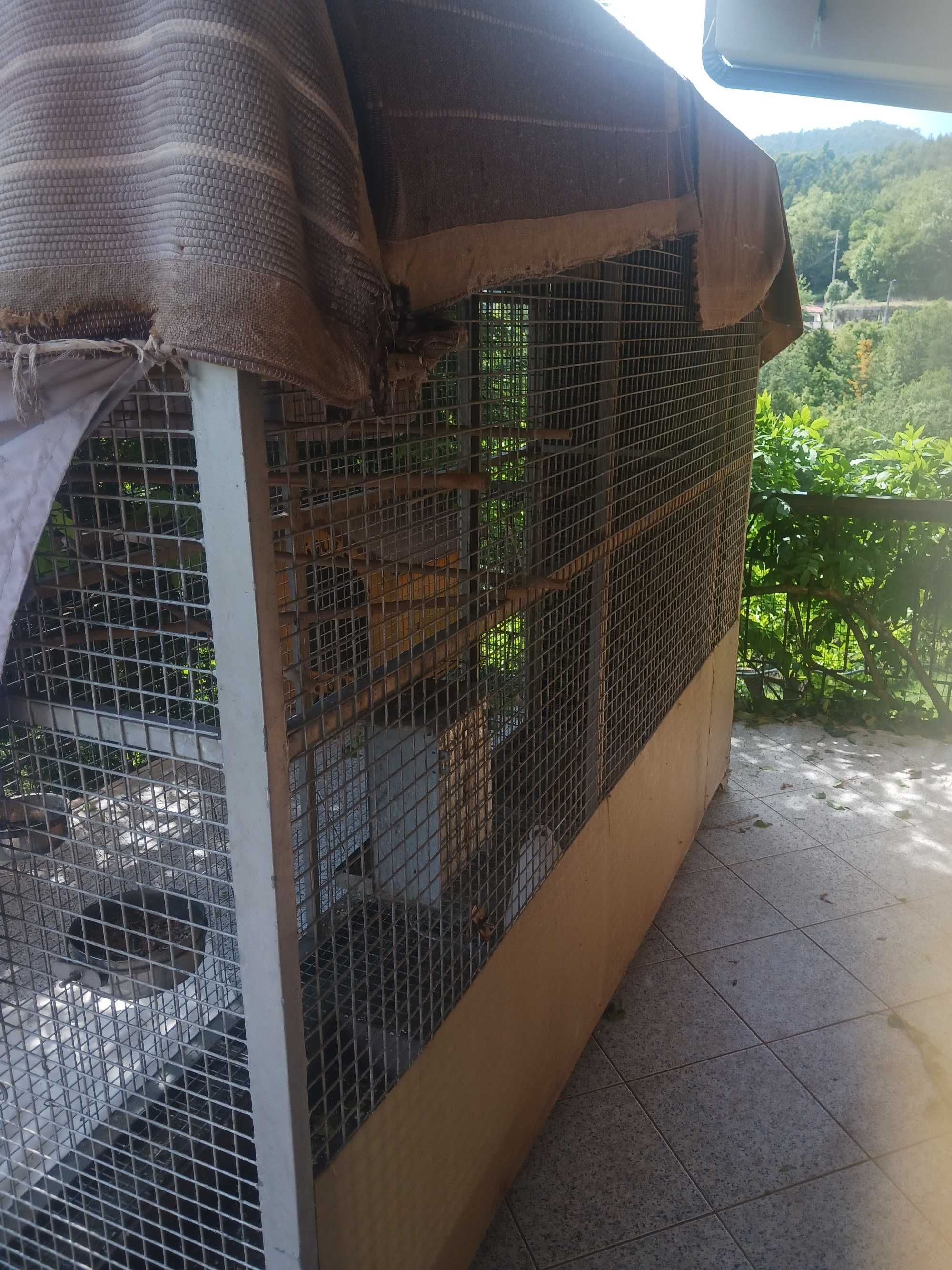 Gaiola e 6 caturras