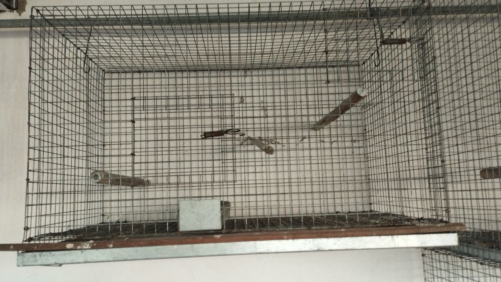 Viveiro para pássaros