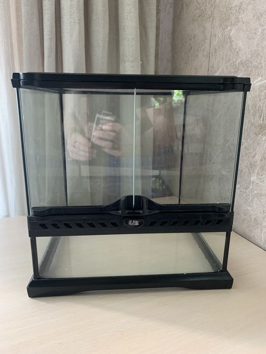 Тераріум, декор, освітлення