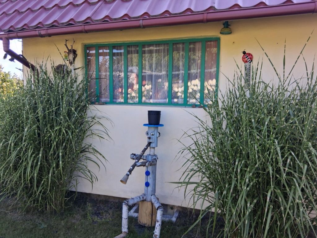 Sprzedam działkę ogrodową