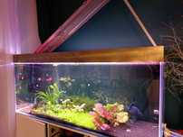 Akwarium optiwhite  450L