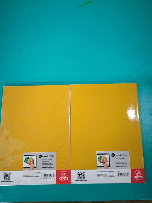 Caderno de Atividades de História 5º ano