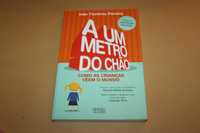 A Um Metro do Chão// Inês Teotónio Pereira