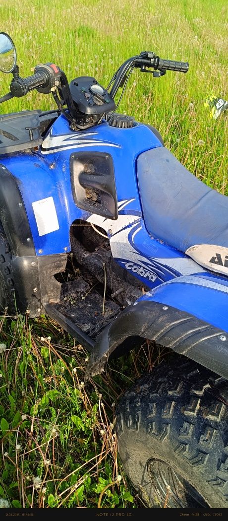 Quad aeon cobra 180
