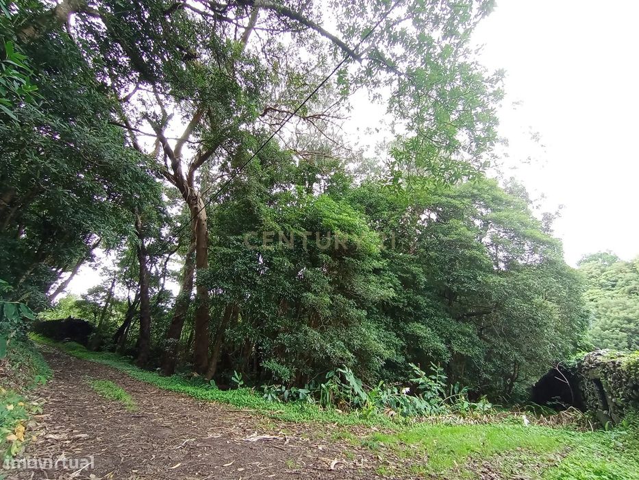 Terreno rústico com 6.534m2, ilha Graciosa