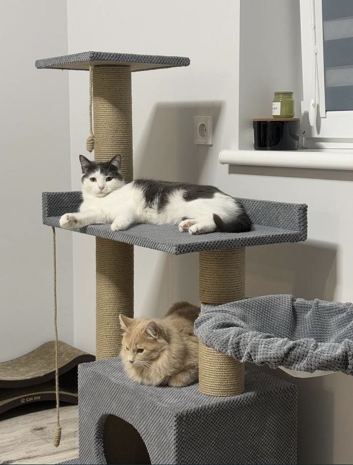 Кігтеточка  комплекс для кота