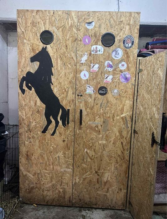 Paka jezdziecka z płyty