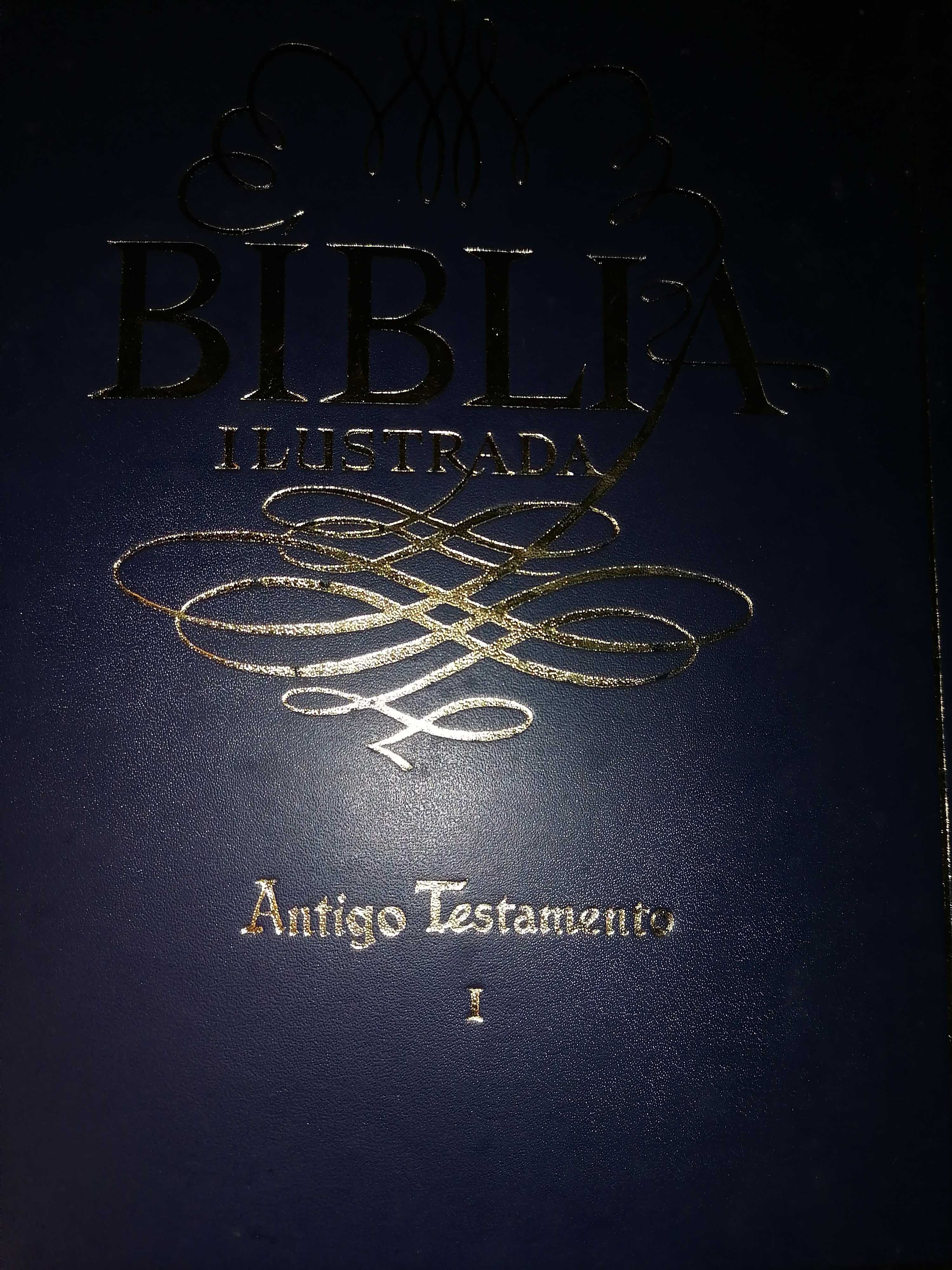 Enciclopédia Bíblia ilustrada, antigo testamento