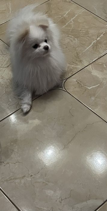 Ищем девушку для любви, миник , очень красивый, игрывый, умный.