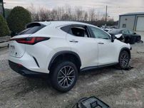 Lexus Nx 350 2022 кузов