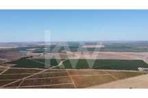 Herdade de amendoal em Beja com 79 ha