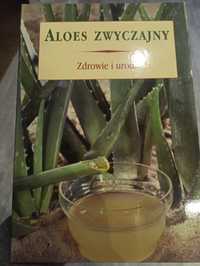 Aloes zwyczajny zdrowie i Uroda