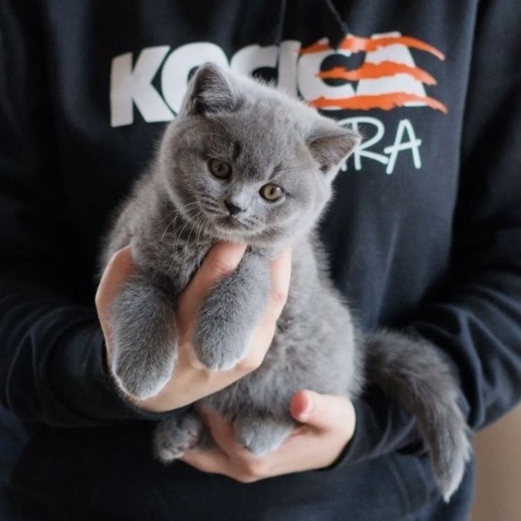 Найкращий хлопчик