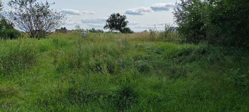 Земельна ділянка с. Червоне Бучанського району