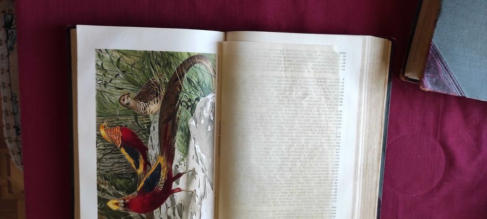 Жизнь животных Брэма. В трех томах. 1904 г.