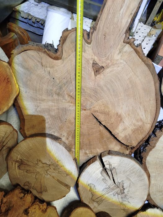 Plastry z drewna (Grab,Cis,Śliwa Węgierka, Czereśnia,Jesion,Buk,Brzoza