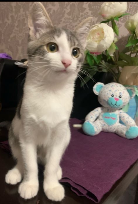 Маленька дівчинка шукає люблячу родину