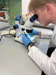 Biologia rozszerzona + chemia i matematyka