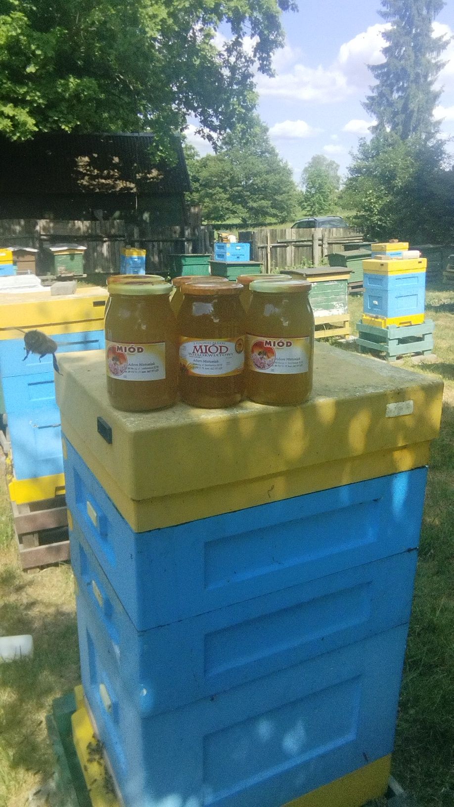 MIÓD naturalny z warmińskiej pasieki/ Natürlicher HONIG/ Natural HONEY