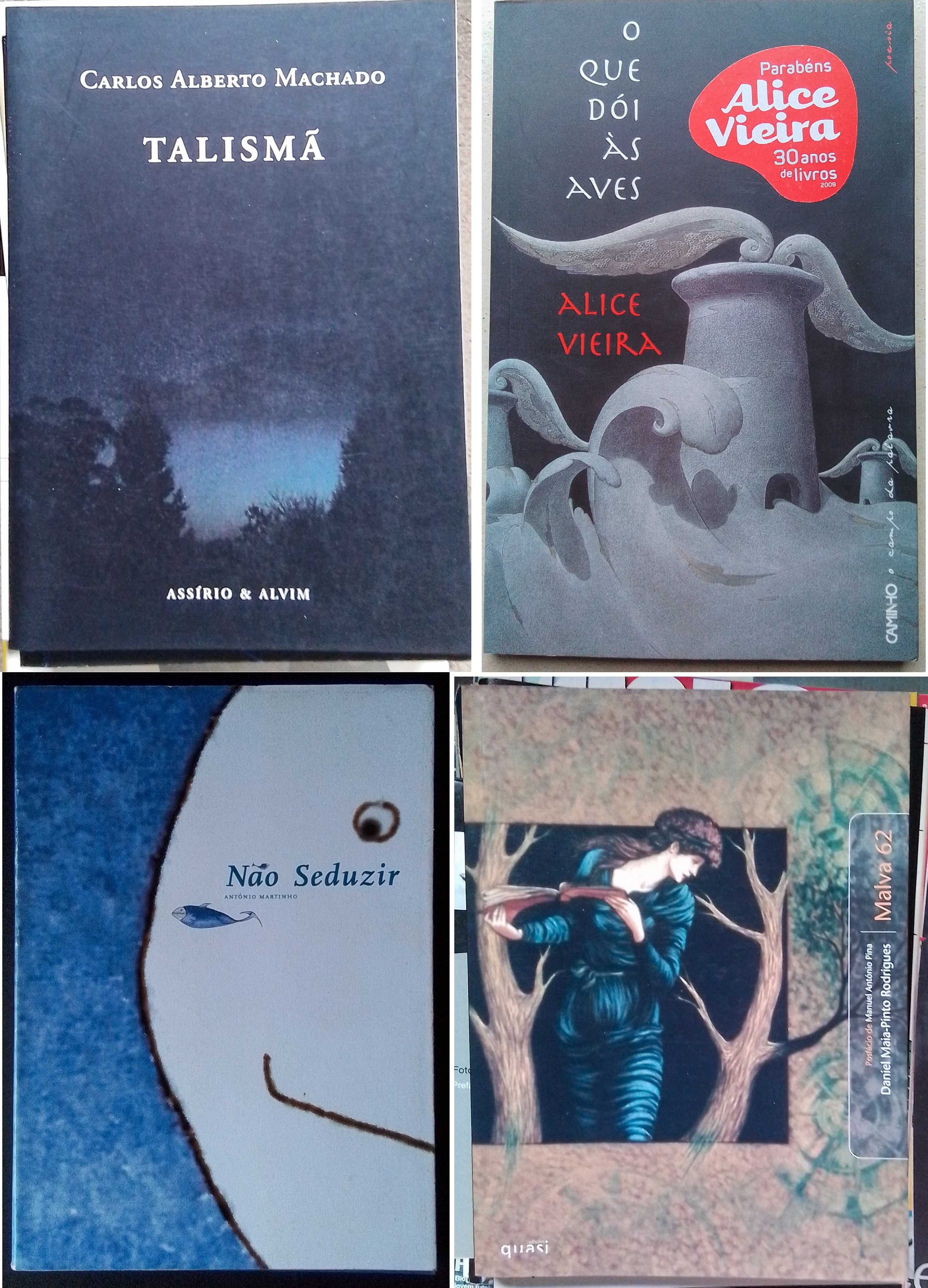 Lote de 23 livros de poesia