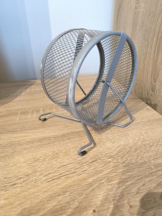 Kołowrotek dla gryzoni, chomika