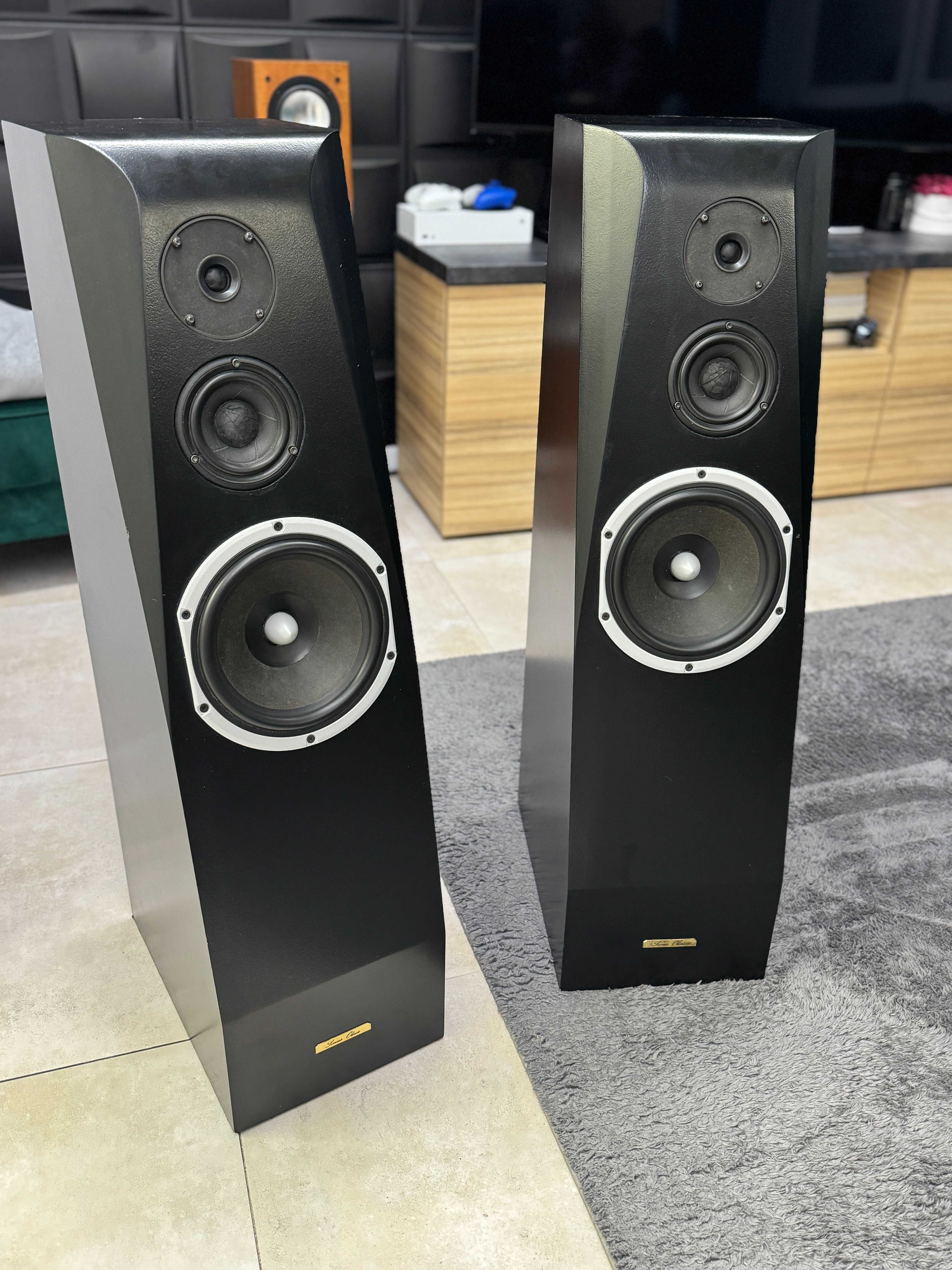 kolumny stereo sonus oliva,Scan Speak,peerless