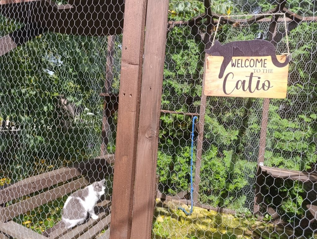 Noclegi Koci Zaułek