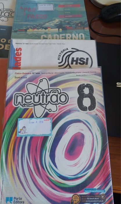 Cadernos de atividades 8ano