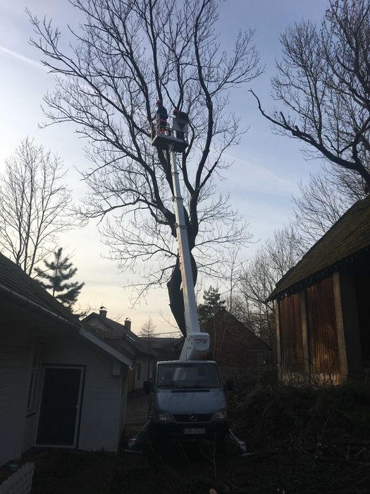 Wycinka drzew Usługi wysokościowe wynajem podnośnik koszowy 20m