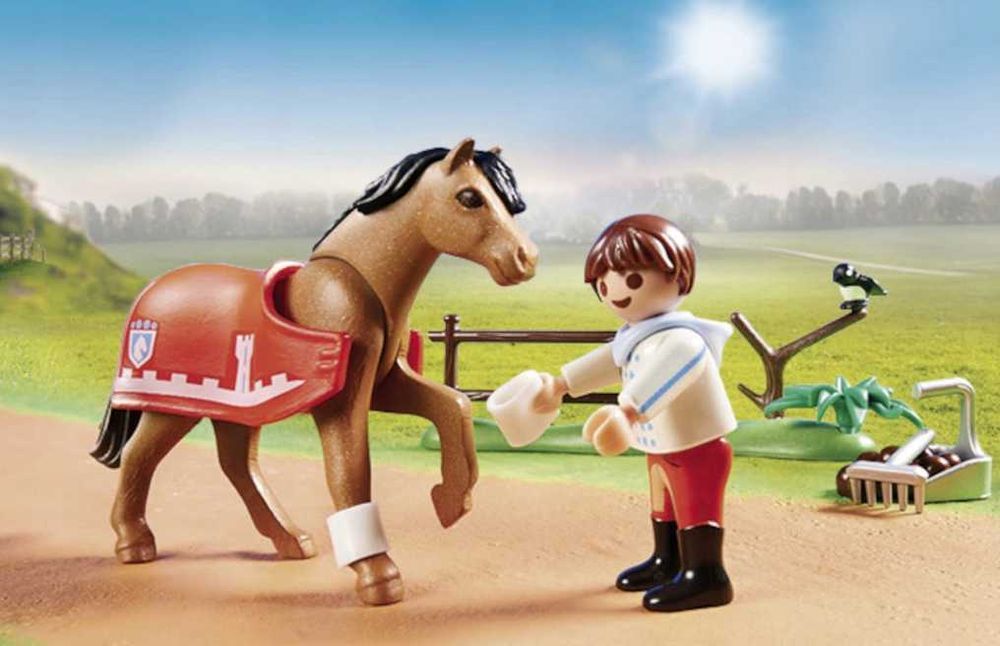 Playmobil Kucyk do kolekcjonowania "Connemara" 70516